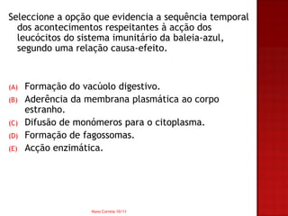 Seleccione a opção que evidencia a sequência temporal
  dos acontecimentos respeitantes à acção dos
  leucócitos do sistema imunitário da baleia-azul,
  segundo uma relação causa-efeito.


(A)   Formação do vacúolo digestivo.
(B)   Aderência da membrana plasmática ao corpo
      estranho.
(C)   Difusão de monómeros para o citoplasma.
(D)   Formação de fagossomas.
(E)   Acção enzimática.




                    Nuno Correia 10/11
 