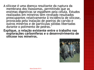 A silicose é uma doença resultante da ruptura da
  membrana dos lisossomas, permitindo que as
  enzimas digestivas se espalhem pela célula. Estudos
  realizados em mineiros têm revelado resultados
  preocupantes relativamente â incidência de silicose,
  provocada pela inalação de poeiras do carvão e
  outros minérios e de partículas sólidas libertadas
  durante o polimento de pedras."
Explique, a relação existente entre o trabalho nas
  explorações carboníferas e o desenvolvimento de
  silicose nos mineiros.




                  Nuno Correia 10/11
 