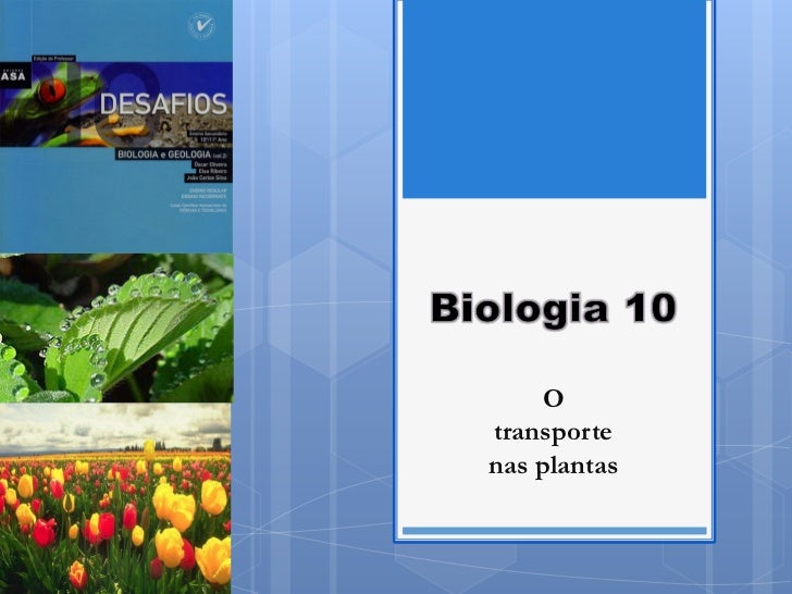 Otransportenas plantas 