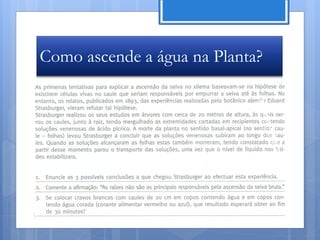 Como ascende a água na Planta?




                          Nuno Correia 11/12
 