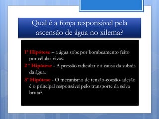 Qual é a força responsável pela
    ascensão de água no xilema?

1ª Hipótese – a água sobe por bombeamento feito
   por células vivas.
2 ª Hipótese - A pressão radicular é a causa da subida
   da água.
3ª Hipótese - O mecanismo de tensão-coesão-adesão
   é o principal responsável pelo transporte da seiva
   bruta?



                                                     Nuno Correia 11/12
 