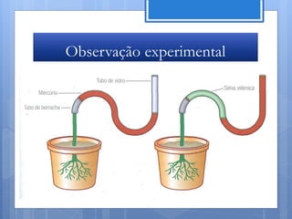 Observação experimental




                     Nuno Correia 11/12
 