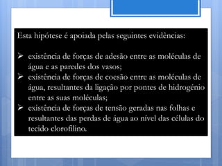 Esta hipótese é apoiada pelas seguintes evidências:

 existência de forças de adesão entre as moléculas de
  água e as paredes dos vasos;
 existência de forças de coesão entre as moléculas de
  água, resultantes da ligação por pontes de hidrogénio
  entre as suas moléculas;
 existência de forças de tensão geradas nas folhas e
  resultantes das perdas de água ao nível das células do
  tecido clorofilino.


                                                  Nuno Correia 11/12
 