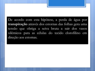 De acordo com esta hipótese, a perda de água por
transpiração através dos estornas das folhas gera uma
tensão que obriga a seiva bruta a sair dos vasos
xilémicos para as células do tecido clorofilino em
direção aos estomas.




                                               Nuno Correia 11/12
 