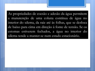 As propriedades de coesão e adesão da água permitem
a manutenção de uma coluna contínua de água no
interior do xilema, da raiz até às folhas, que se desloca
de baixo para cima em direção à fonte de tensão. Se os
estomas estiverem fechados, a água no interior do
xilema tende a manter-se num estado estacionário.




                                                  Nuno Correia 11/12
 