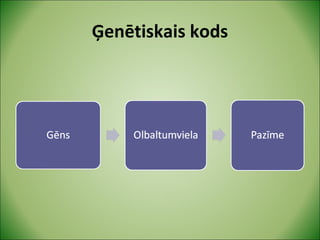 Ģenētiskais kods 
 