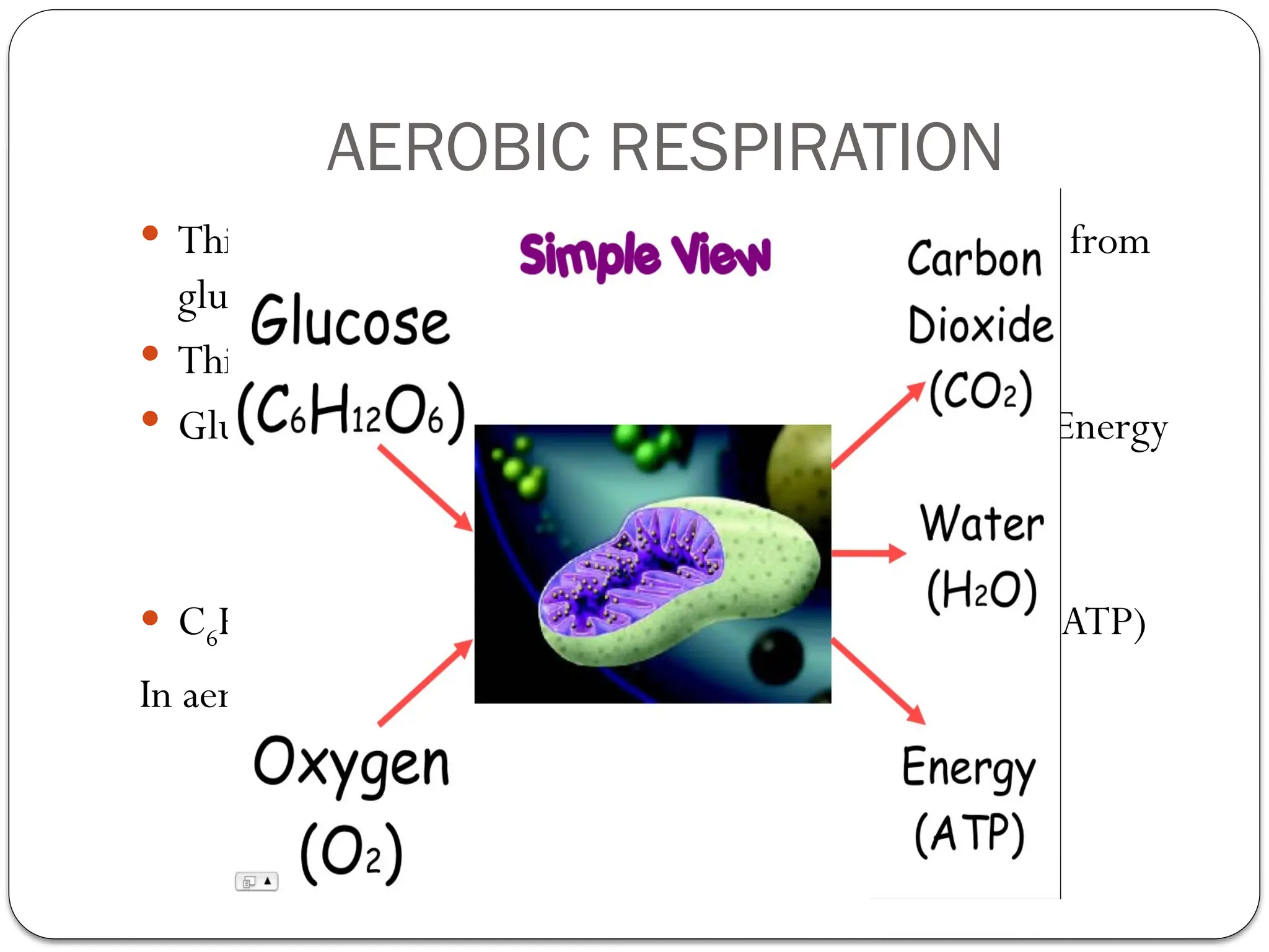 AEROBIC RESPIRATION
 This type of respiration uses oxygen to release energy from
glucose present in our cells.
 This takes place inside mitochondria
 Glucose + Oxygen Carbon dioxide +Water + Energy
 C6H12O6 + 6O2 6CO2 + 6H2O +ENERGY (ATP)
In aerobic respiration glucose is brken down completely
 