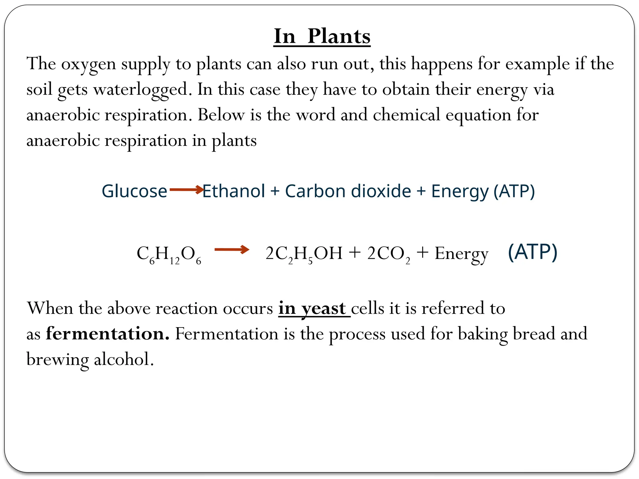 In Plants
The oxygen supply to plants can also run out, this happens for example if the
soil gets waterlogged. In this case they have to obtain their energy via
anaerobic respiration. Below is the word and chemical equation for
anaerobic respiration in plants
Glucose Ethanol + Carbon dioxide + Energy (ATP)
C6H12O6 2C2H5OH + 2CO2 + Energy (ATP)
When the above reaction occurs in yeast cells it is referred to
as fermentation. Fermentation is the process used for baking bread and
brewing alcohol.
 