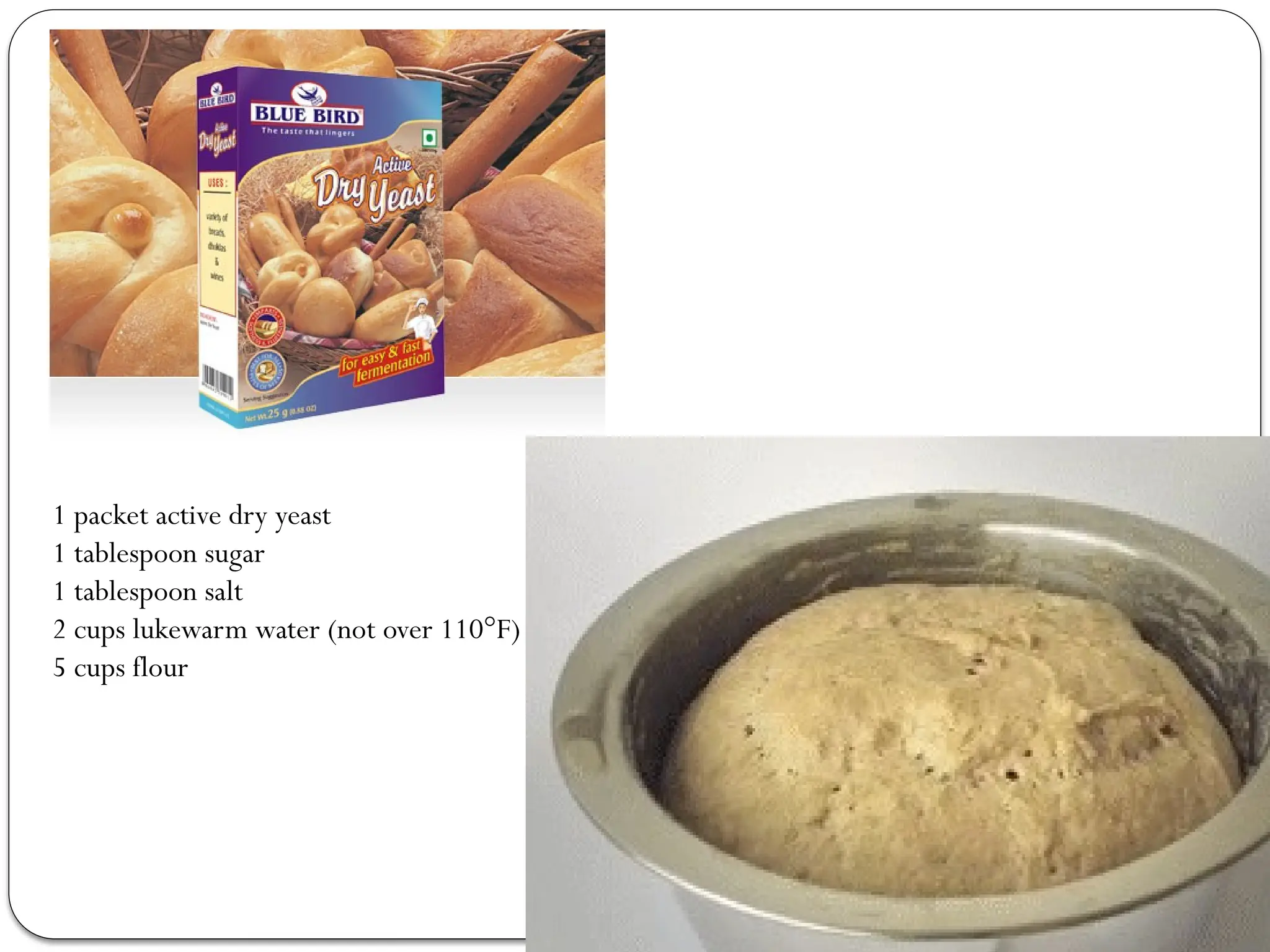 1 packet active dry yeast
1 tablespoon sugar
1 tablespoon salt
2 cups lukewarm water (not over 110°F)
5 cups flour
 