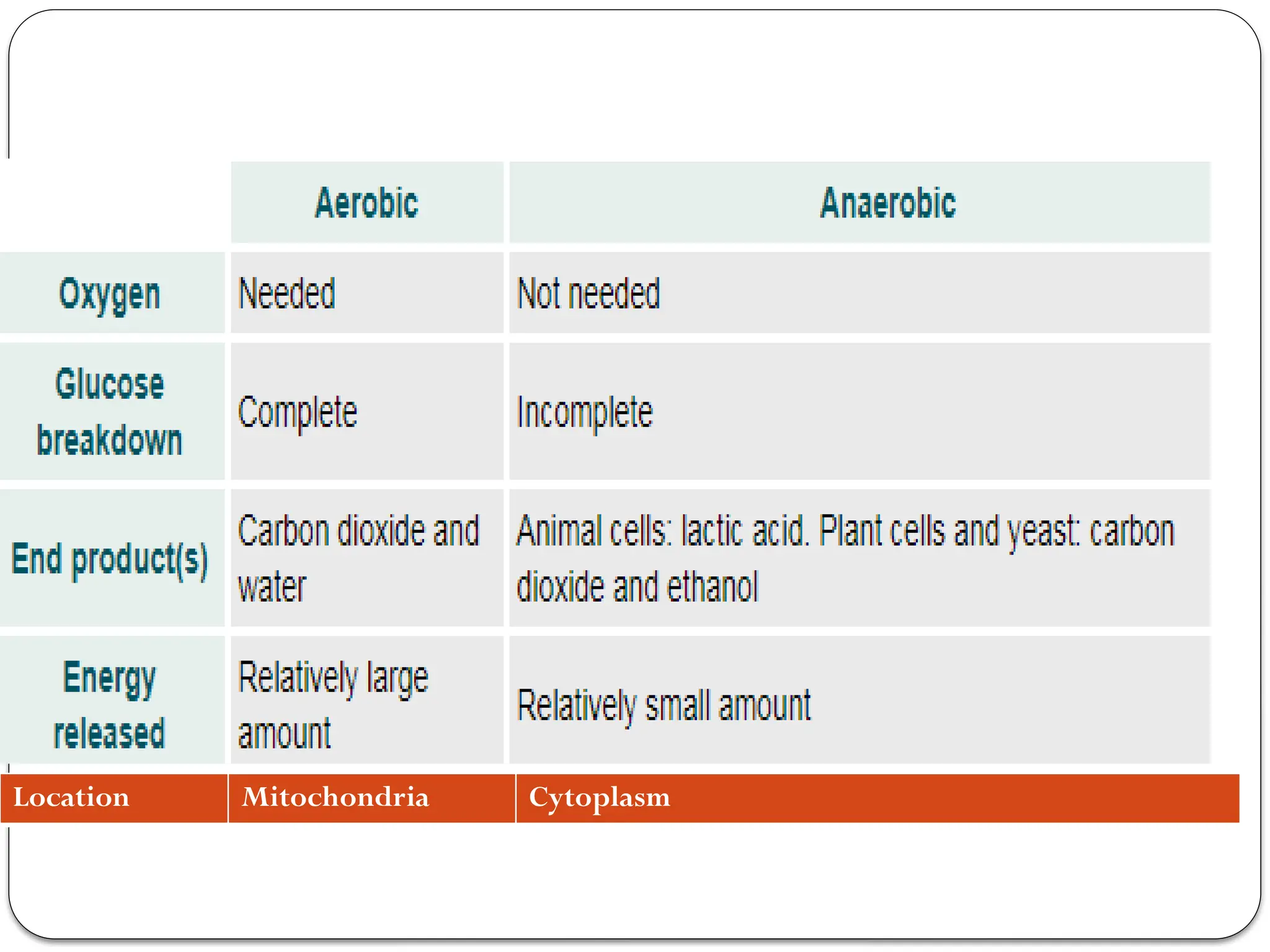 Location Mitochondria Cytoplasm
 