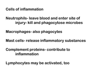 Cells of inflammation
Neutrophils- leave blood and enter site of
injury- kill and phagocytose microbes
Macrophages- also phagocytes
Mast cells- release inflammatory substances
Complement proteins- contribute to
inflammation
Lymphocytes may be activated, too
 