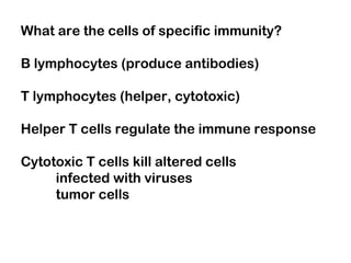 What are the cells of specific immunity?
B lymphocytes (produce antibodies)
T lymphocytes (helper, cytotoxic)
Helper T cells regulate the immune response
Cytotoxic T cells kill altered cells
infected with viruses
tumor cells
 