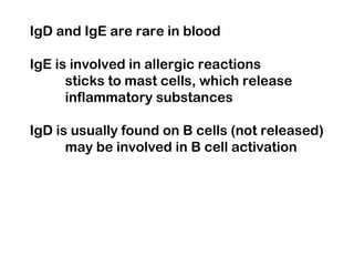 IgD and IgE are rare in blood
IgE is involved in allergic reactions
sticks to mast cells, which release
inflammatory substances
IgD is usually found on B cells (not released)
may be involved in B cell activation
 