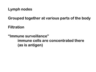 Lymph nodes
Grouped together at various parts of the body
Filtration
“Immune surveillance”
immune cells are concentrated there
(as is antigen)
 