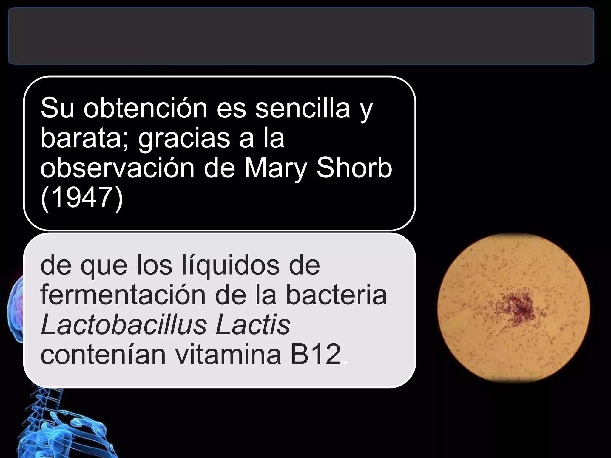 Su obtención es sencilla y
barata; gracias a la
observación de Mary Shorb
(1947)
de que los líquidos de
fermentación de la bacteria
Lactobacillus Lactis
contenían vitamina B12.
 