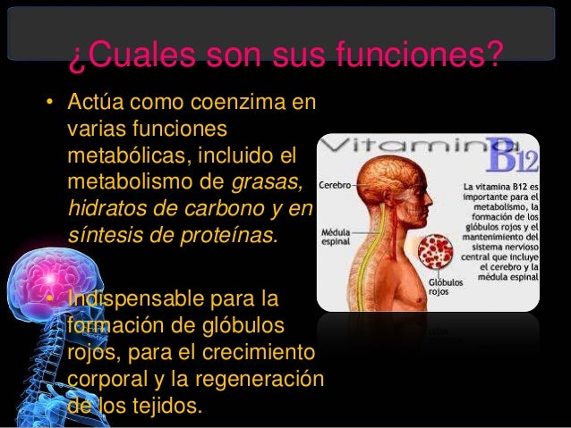 vitamina B12 vitamina B12