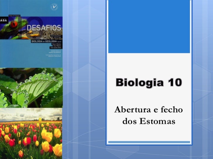 Abertura e fecho dos Estomas 