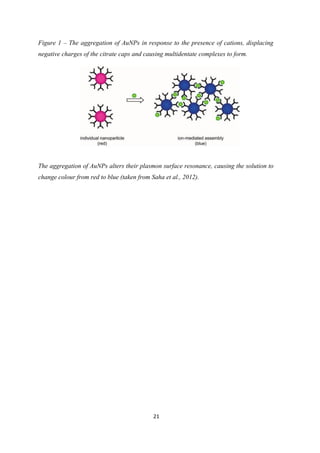 Figure 1 – The aggregation of AuNPs in response to the presence of cations, displacing
negative charges of the citrate caps and causing multidentate complexes to form.
The aggregation of AuNPs alters their plasmon surface resonance, causing the solution to
change colour from red to blue (taken from Saha et al., 2012).
21
 