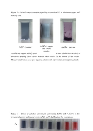 Figure 3 – A visual comparison of the signalling events of AuNPs in relation to copper and
mercury ions.
Addition of copper initially gave a blue solution which led to a
precipitate forming after several minutes which settled at the bottom of the cuvette.
Mercury on the other hand gave a purple solution with a precipitate forming immediately.
Figure 4 – Limits of detection experiments concerning AuNPs and P-AuNPs in the
presence of copper and mercury, with AuNPs and P-AuNPs alone for comparison.
23
AuNPs + copper
AuNPs + copper
after several
minutes
AuNPs + mercury
A
 