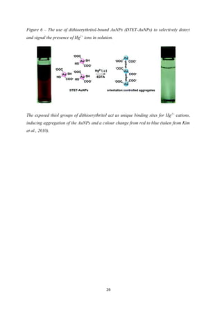 Figure 6 – The use of dithioerythritol-bound AuNPs (DTET-AuNPs) to selectively detect
and signal the presence of Hg2+
ions in solution.
The exposed thiol groups of dithioerythritol act as unique binding sites for Hg2+
cations,
inducing aggregation of the AuNPs and a colour change from red to blue (taken from Kim
et al., 2010).
26
 