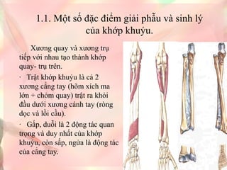 1.1. Một số đặc điểm giải phẫu và sinh lý 
của khớp khuỷu.
      Xương quay và xương trụ 
tiếp với nhau tạo thành khớp 
quay- trụ trên.
·   Trật khớp khuỷu là cả 2 
xương cẳng tay (hõm xích ma 
lớn + chỏm quay) trật ra khỏi 
đầu dưới xương cánh tay (ròng 
dọc và lồi cầu).
·   Gấp, duỗi là 2 động tác quan 
trọng và duy nhất của khớp 
khuỷu, còn sấp, ngửa là động tác 
của cẳng tay.

 