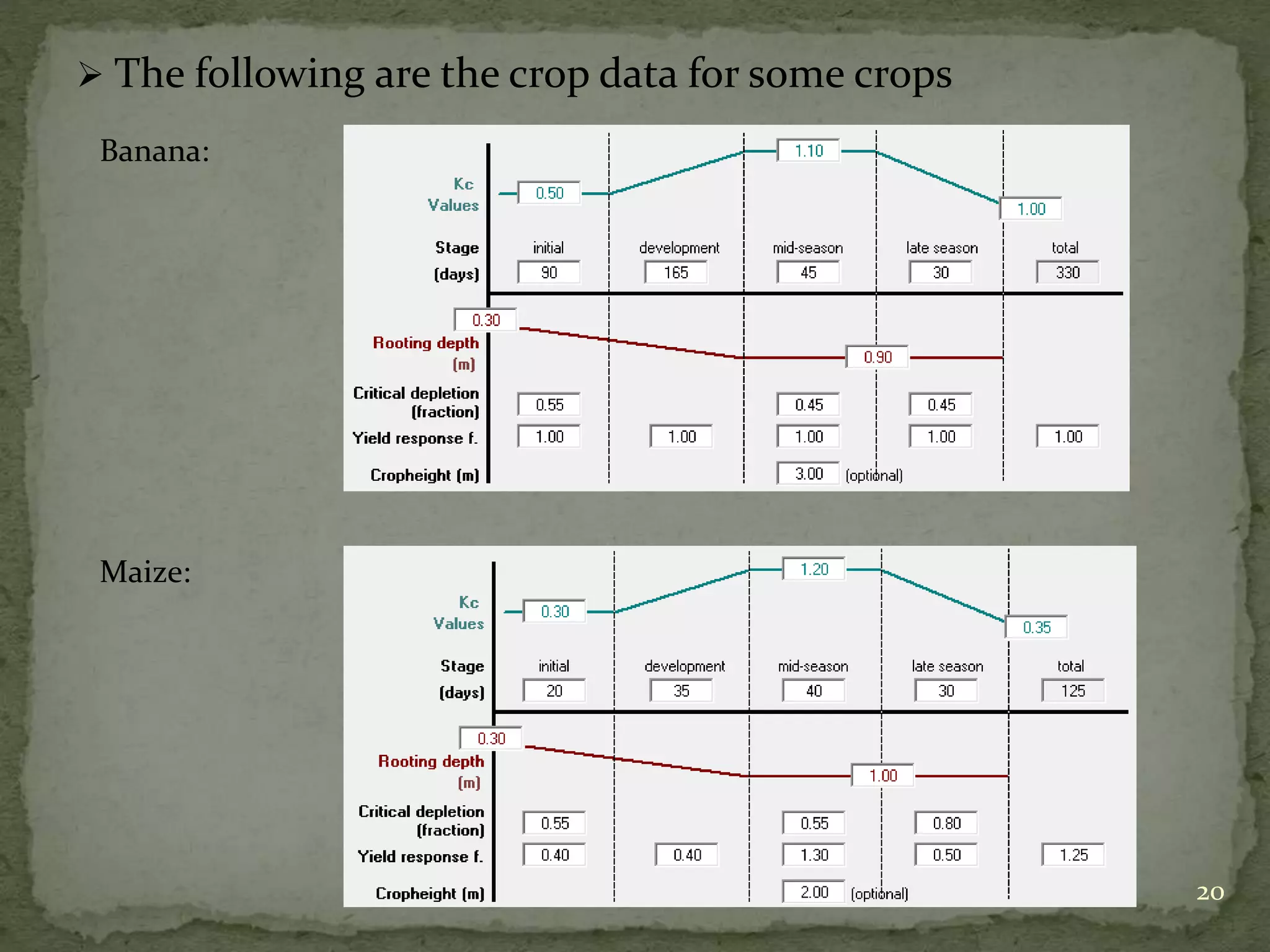  The following are the crop data for some crops
20
Banana:
Maize:
 