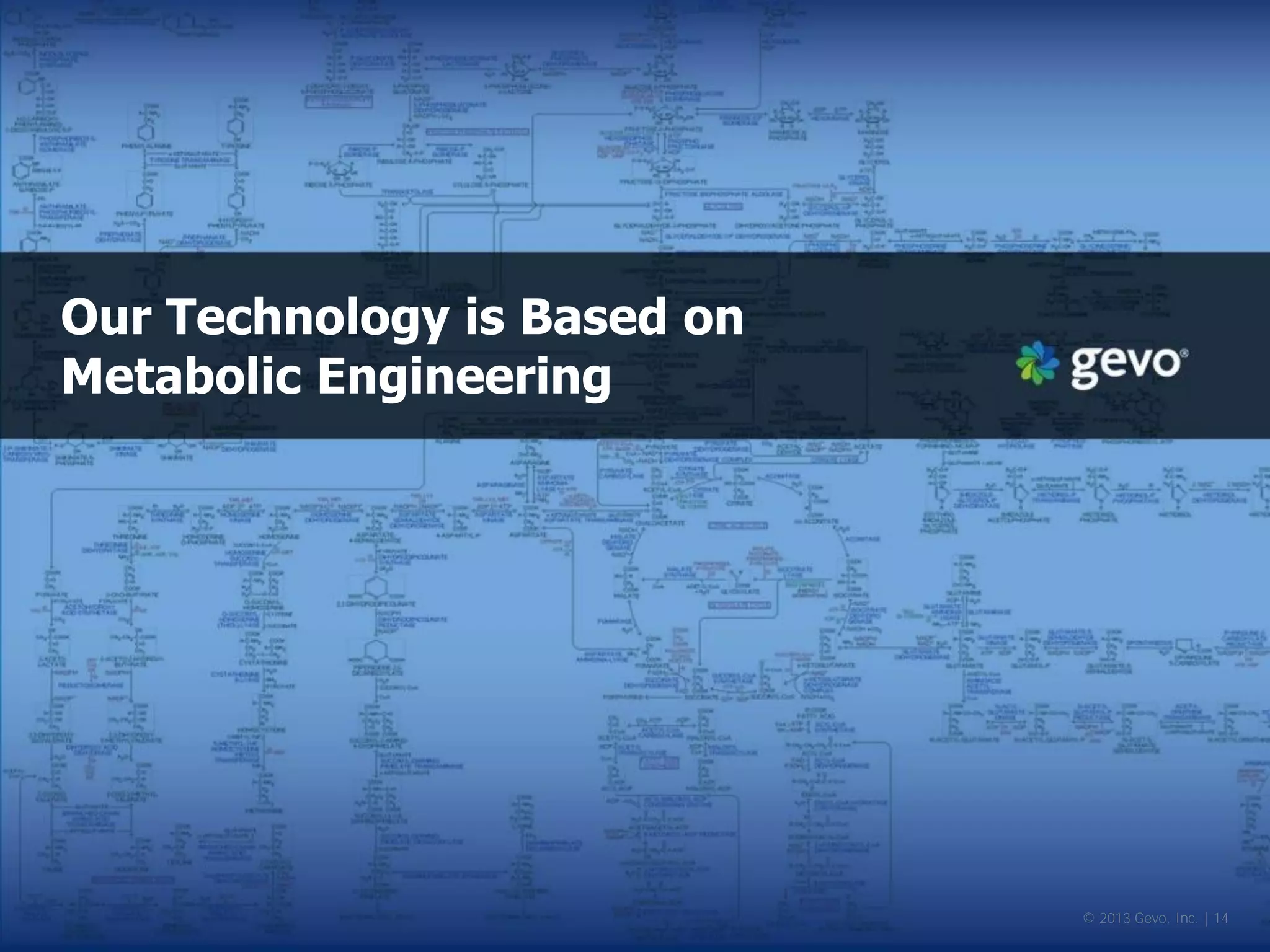 Our Technology is Based on Metabolic Engineering 
© 2013 Gevo, Inc. | 14  