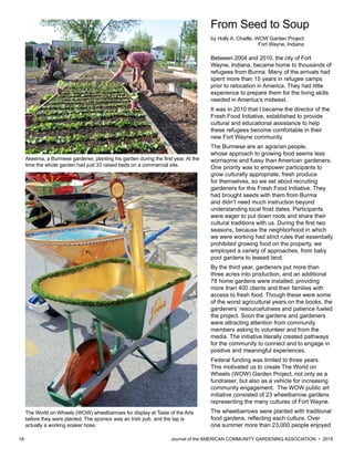 18 						 	 Journal of the AMERICAN COMMUNITY GARDENING ASSOCIATION • 2015
From Seed to Soup
by Holly A. Chaille, WOW Garden Project
Fort Wayne, Indiana
Between 2004 and 2010, the city of Fort
Wayne, Indiana, became home to thousands of
refugees from Burma. Many of the arrivals had
spent more than 15 years in refugee camps
prior to relocation in America. They had little
experience to prepare them for the living skills
needed in America’s midwest.
It was in 2010 that I became the director of the
Fresh Food Initiative, established to provide
cultural and educational assistance to help
these refugees become comfortable in their
new Fort Wayne community.
The Burmese are an agrarian people,
whose approach to growing food seems less
worrisome and fussy than American gardeners.
One priority was to empower participants to
grow culturally appropriate, fresh produce
for themselves, so we set about recruiting
gardeners for this Fresh Food Initiative. They
had brought seeds with them from Burma
and didn’t need much instruction beyond
understanding local frost dates. Participants
were eager to put down roots and share their
cultural traditions with us. During the first two
seasons, because the neighborhood in which
we were working had strict rules that essentially
prohibited growing food on the property, we
employed a variety of approaches, from baby
pool gardens to leased land.
By the third year, gardeners put more than
three acres into production, and an additional
78 home gardens were installed, providing
more than 400 clients and their families with
access to fresh food. Though these were some
of the worst agricultural years on the books, the
gardeners’ resourcefulness and patience fueled
the project. Soon the gardens and gardeners
were attracting attention from community
members asking to volunteer and from the
media. The initiative literally created pathways
for the community to connect and to engage in
positive and meaningful experiences.
Federal funding was limited to three years.
This motivated us to create The World on
Wheels (WOW) Garden Project, not only as a
fundraiser, but also as a vehicle for increasing
community engagement. The WOW public art
initiative consisted of 23 wheelbarrow gardens
representing the many cultures of Fort Wayne.
The wheelbarrows were planted with traditional
food gardens, reflecting each culture. Over
one summer more than 23,000 people enjoyed
The World on Wheels (WOW) wheelbarrows for display at Taste of the Arts
before they were planted. The sponsor was an Irish pub, and the tap is
actually a working soaker hose.
Akeema, a Burmese gardener, planting his garden during the first year. At the
time the whole garden had just 33 raised beds on a commercial site.
 