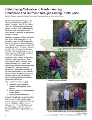 22 						 	 Journal of the AMERICAN COMMUNITY GARDENING ASSOCIATION • 2015
Determining Motivation to Garden Among
Bhutanese and Burmese Refugees Using Photo Voice
by Ruth Grubisec, Assistant Professor at University of Texas Health Science Center at San Antonio
Bhutanese and Burmese refugees have
access to an international garden at St.
Francis Episcopal Church in San Antonio
Texas and they appreciate opportunity to
garden. We did a study to determine why.
Qualitative data, utilizing Photo Voice,
was collected to determine what motivates
refugees to garden.
Questions were asked of fifteen gardeners
who agreed to participate; Why do you
participate in gardening? Does access to
fresh produce from the garden affect your
food choices? How does gardening impact
you and your family? In addition, they were
provided with training sessions to teach
them the Photo Voice concept and how to
use a digital camera.They expressed their
answers though photographs.
Participants spent 4 weeks taking photos
aligning to the study questions. These
photo sessions were supervised, photos
were downloaded and 5 photos were
selected by each participant that described
the meaning of gardening from their
perspective. Captions were prepared by
the participants for each of their selected
photos. A photo display with the 5 photos
and their captions was prepared for a
photo exhibit given in the community to
disseminate the findings.
There were themes that emerged
•	 Gardening is good for health,
provides tasty vegetables, and is
peaceful.
•	 Pride in growing their own vegetables
and harvesting
•	 Socialization while gardening.
Readers should be able to use information
to encourage others to provide refugee
access to community gardening. The major
themes cited by the captions in these
photos provide evidence that gardening
provides refugees with many important
benefits that help them adjust to their new
home.
I sow and grow corn and doing that myself makes
me proud.
I share what I grow with my friends.
We love to share gardening and the food we grow together with our
family and friends
 