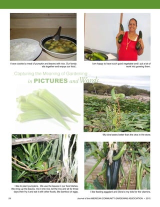 24 						 	 Journal of the AMERICAN COMMUNITY GARDENING ASSOCIATION • 2015
I have cooked a meal of pumpkin and leaves with rice. Our family
sits together and enjoys our food..
I am happy to have such good vegetable and I put a lot of
work into growing them.
I like to plant pumpkins. We use the leaves in our food dishes.
We chop up the leaves, mix it into rice, let the mix and sit for three
days then fry it and eat it with other foods, like bamboo or eggs. I like feeding eggplant and Okra to my kids for the vitamins.
My okra tastes better than the okra in the store.
Capturing the Meaning of Gardening...
in PICTURES andWords
 