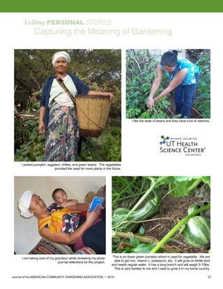 Journal of the AMERICAN COMMUNITY GARDENING ASSOCIATION • 2015 27
Telling PERSONAL STORIES
Capturing the Meaning of Gardening
This is an Asian green pumpkin which is used for vegetable. We are
able to get iron, vitamin c, potassium, etc. It will grow on fertile land
and needs regular water. It has a long branch and will weigh 5-10lbs.
This is very familiar to me and I used to grow it in my home country.
I picked pumpkin, eggplant, chilies, and green beans. The vegetables
provided the seed for more plants in the future.
I am taking care of my grandson while reviewing my photo
journal reflections for this project.
I like the taste of beans and they have a lot of vitamins.
 