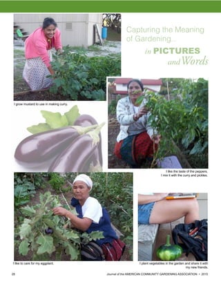 28 						 	 Journal of the AMERICAN COMMUNITY GARDENING ASSOCIATION • 2015
I like to care for my eggplant.
I like the taste of the peppers,
I mix it with the curry and pickles.
I grow mustard to use in making curry.
I plant vegetables in the garden and share it with
my new friends.
Capturing the Meaning
of Gardening...
in PICTURES
andWords
 