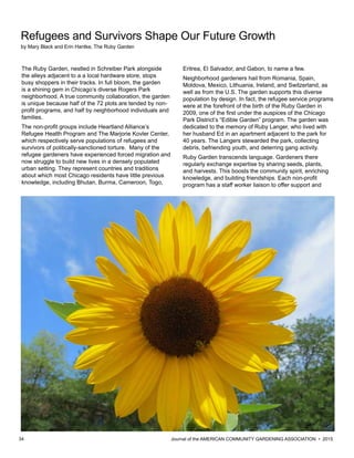 34 						 	 Journal of the AMERICAN COMMUNITY GARDENING ASSOCIATION • 2015
Refugees and Survivors Shape Our Future Growth
by Mary Black and Erin Hantke, The Ruby Garden
The Ruby Garden, nestled in Schreiber Park alongside
the alleys adjacent to a a local hardware store, stops
busy shoppers in their tracks. In full bloom, the garden
is a shining gem in Chicago’s diverse Rogers Park
neighborhood. A true community collaboration, the garden
is unique because half of the 72 plots are tended by non-
profit programs, and half by neighborhood individuals and
families.
The non-profit groups include Heartland Alliance’s
Refugee Health Program and The Marjorie Kovler Center,
which respectively serve populations of refugees and
survivors of politically-sanctioned torture. Many of the
refugee gardeners have experienced forced migration and
now struggle to build new lives in a densely populated
urban setting. They represent countries and traditions
about which most Chicago residents have little previous
knowledge, including Bhutan, Burma, Cameroon, Togo,
Eritrea, El Salvador, and Gabon, to name a few.
Neighborhood gardeners hail from Romania, Spain,
Moldova, Mexico, Lithuania, Ireland, and Switzerland, as
well as from the U.S. The garden supports this diverse
population by design. In fact, the refugee service programs
were at the forefront of the birth of the Ruby Garden in
2009, one of the first under the auspices of the Chicago
Park District’s “Edible Garden” program. The garden was
dedicated to the memory of Ruby Langer, who lived with
her husband Ed in an apartment adjacent to the park for
40 years. The Langers stewarded the park, collecting
debris, befriending youth, and deterring gang activity.
Ruby Garden transcends language. Gardeners there
regularly exchange expertise by sharing seeds, plants,
and harvests. This boosts the community spirit, enriching
knowledge, and building friendships. Each non-profit
program has a staff worker liaison to offer support and
 