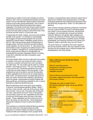 Journal of the AMERICAN COMMUNITY GARDENING ASSOCIATION • 2015 35
interpreting as needed. Community workdays as well as
delicious “plot” lucks are scheduled periodically during the
season and are well attended. Most programs share their
produce communally among participants, most of whom
could not otherwise afford to purchase fresh organic
vegetables. The Kovler Center also hosts a twice-monthly
International Cooking Group, where participants use the
bounty from their plots to prepare cuisine from their home
countries and then share in a communal meal.
To appreciate the health, healing, and community building
benefits of the garden, it is important to acknowledge
the struggles of newly-arrived refugees and survivors
applying for political asylum. Refugees usually arrive in
the U.S. after having endured years of displacement in
refugee camps. Survivors of torture have also suffered
forced migration. On arrival to the U. S., they endure the
interminable process of applying for political asylum while
living in shelters or doubled up in cramped apartments.
All are coping with the effects of unimaginable loss
exacerbated by everyday challenges inherent in making
a new life in unfamiliar and often unreceptive urban
environments.
The Ruby Garden offers not only a safe oasis and a place
to breathe in this busy new country but also a means
to connect to positive memories from one’s homeland.
You often hear, “Oh, this smells just like what my mother
planted…this brings me home.” “Oh, you have this plant
in your country too?” Bhutanese gardeners have told
us that they are really happy to have the garden in their
neighborhood and to be able to use their farming skills
to plant vegetables from home such as mustard greens,
bitter melon, and special beans, all organically grown by
their own hands. Exercise from walking to and working
within the garden, opportunities to practice English with
fellow gardeners, and planting marigolds to use in cultural
festivals are additional benefits they cite.
Many thought they would never get to grow anything
in America. One Bhutanese gardener related, “When I
got here, I saw concrete. Just over all the ground, there
was concrete. I was so sad. This place was nothing like
my home, what would I do here?” Once in the garden,
she was able to grow her own vegetables like she had
at home and found peace when she was in the Ruby
garden. “These vegetables and food remind me of my
home. My family, we were farmers. I thank [Heartland
Alliance] for helping me keep my skills and traditions
alive.”
The emphasis on combining traditional farming practices
with new urban farm techniques allows the older
gardeners to maintain integrity and status by passing
traditional skills and knowledge to their younger family
members. Local gardeners share extension season tips to
adapt to the relatively short growing season in Chicago.
Congolese gardeners help neighborhood gardeners learn
that what they thought was a “weed” is in fact edible and
delicious.
Each of these everyday gardening endeavors contributes
not only to good nutrition, but also to providing respite
from stress, a link to positive memories, diminishment
of isolation, and reconstruction of social and familial
networks. Moreover, the garden offers refugees and
survivors the continuity of familiar rituals and seasonal
rhythms. These have been a powerful source of safety,
predictability, and meaning universal to all cultures and
helped to create a sanctuary many can call “home.”
The poem below by “a gardener from Haiti” speaks to
this journey towards a home. She was inspired to write
the poem by the sunflower with a visiting honeybee she
photographed in the Ruby Garden.
Take a Moment and Smell the Roses
by Chantal Powell
Bees for nourishing purpose
Immigrants for belonging purpose,
Feeling home purpose,
Adaptation purpose.
Find out what our environment has to offer:
city events, neighborhood parks, community gardens,
and include ourselves.
Participate, be a part of, make it home.
We might be away from home, but we can still feel
like home.
Lack of mint, clover, dandelions and milkweed, the
bees adapt to their
Environment,
They find the sunflower for nutrition.
They learn to appreciate. It is all about adaptation.
Let it be our journey.
When you don’t have what you like,
like what you have.
 