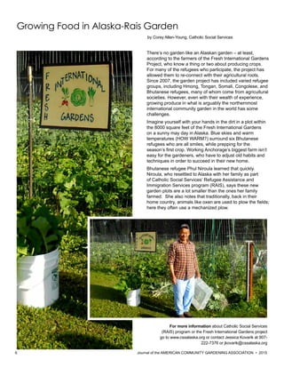 6 						 	 Journal of the AMERICAN COMMUNITY GARDENING ASSOCIATION • 2015
Growing Food in Alaska-Rais Garden
There’s no garden like an Alaskan garden – at least,
according to the farmers of the Fresh International Gardens
Project, who know a thing or two about producing crops.
For many of the refugees who participate, the project has
allowed them to re-connect with their agricultural roots.
Since 2007, the garden project has included varied refugee
groups, including Hmong, Tongan, Somali, Congolese, and
Bhutanese refugees, many of whom come from agricultural
societies. However, even with their wealth of experience,
growing produce in what is arguably the northernmost
international community garden in the world has some
challenges.
Imagine yourself with your hands in the dirt in a plot within
the 8000 square feet of the Fresh International Gardens
on a sunny may day in Alaska. Blue skies and warm
temperatures (HOW WARM?) surround six Bhutanese
refugees who are all smiles, while prepping for the
season’s first crop. Working Anchorage’s biggest farm isn’t
easy for the gardeners, who have to adjust old habits and
techniques in order to succeed in their new home.
Bhutanese refugee Phul Niroula learned that quickly.
Niroula, who resettled to Alaska with her family as part
of Catholic Social Services’ Refugee Assistance and
Immigration Services program (RAIS), says these new
garden plots are a lot smaller than the ones her family
farmed. She also notes that traditionally, back in their
home country, animals like oxen are used to plow the fields;
here they often use a mechanized plow.
For more information about Catholic Social Services
(RAIS) program or the Fresh International Gardens project
go to www.cssalaska.org or contact Jessica Kovarik at 907-
222-7376 or jkovarik@cssalaska.org
by Corey Allen-Young, Catholic Social Services
 