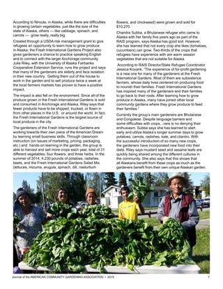 Journal of the AMERICAN COMMUNITY GARDENING ASSOCIATION • 2015 7
flowers, and chickweed) were grown and sold for
$10,270.
Chandra Subba, a Bhutanese refugee who came to
Alaska with her family five years ago as part of the
RAIS program, says Alaska has good soil. However,
she has learned that not every crop she likes (tomatoes,
cucumbers) can grow. Two-thirds of the crops that
refugees have experience with are warm season
vegetables that are not suitable for Alaska.
According to RAIS Director/State Refugee Coordinator
Jessica Kovarik, “The experience of for-profit gardening
is a new one for many of the gardeners at the Fresh
International Gardens. Most of them are subsistence
farmers, whose daily lives centered on producing food
to nourish their families. Fresh International Gardens
has inspired many of the gardeners and their families
to go back to their roots. After learning how to grow
produce in Alaska, many have joined other local
community gardens where they grow produce to feed
their families.”
Currently the group’s main gardeners are Bhutanese
and Congolese. Despite language barriers and
some difficulties with crops, there is no denying their
enthusiasm. Subba says she has learned to start
early and utilize Alaska’s longer summer days to grow
potatoes, carrots, radishes, kale, and cilantro. With
the successful introduction of so many new crops,
the gardeners have incorporated new food into their
diets. Riley says mustard seed and sesame leafs are
quickly being shared among the different cultures in
the community. She also says that this shows that
all Alaskans benefit from these crops as much as the
gardeners benefit from their own unique Alaskan garden.
According to Niroula, in Alaska, while there are difficulties
in growing certain vegetables, just like the size of the
state of Alaska, others — like cabbage, spinach, and
carrots — grow really, really big.
Created through a USDA risk management grant to give
refugees an opportunity to learn how to grow produce
in Alaska, the Fresh International Gardens Project also
gives gardeners a chance to practice speaking English
and to connect with the larger Anchorage community.
Julie Riley, with the University of Alaska Fairbanks
Cooperative Extension Service, runs the project and says
that many of the gardeners are elderly and face isolation
in their new country. Getting them out of the house to
work in the garden and to sell produce twice a week at
the local farmers markets has proven to have a positive
impact.
The impact is also felt on the environment. Since all of the
produce grown in the Fresh International Gardens is sold
and consumed in Anchorage and Alaska, Riley says that
fewer products have to be shipped, trucked, or flown in
from other places in the U.S. or around the world. In fact,
the Fresh International Gardens is the largest source of
local produce in the city.
The gardeners of the Fresh International Gardens are
working towards their own piece of the American Dream
by learning small business skills. Through classroom
instruction (on issues of marketing, pricing, packaging,
etc.) and hands-on learning in the garden, the group is
able to harvest and sell more crops each year, total of 31
different vegetables, four flowers, and three herbs. In the
summer of 2014, 4,230 pounds of potatoes, radishes,
beets, and the Fresh International Gardens Salad Mix
(lettuces, mizuma, arugula, spinach, dill, nasturtium
 
