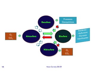 Processos Geoquímicos O 2 CO 2 O 2 CO 2 Nuno Correia 08-09 