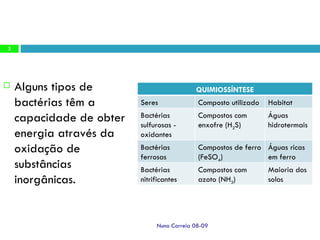 Alguns tipos de bactérias têm a capacidade de obter energia através da oxidação de substâncias inorgânicas.  Nuno Correia 08-09 QUIMIOSSÍNTESE Seres Composto utilizado Habitat Bactérias sulfurosas - oxidantes Compostos com enxofre (H 2 S) Águas hidrotermais Bactérias ferrosas Compostos de ferro (FeSO 4 ) Águas ricas em ferro Bactérias nitrificantes Compostos com azoto (NH 3 ) Maioria dos solos 