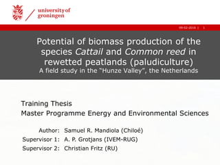 1|09-02-2016 1|09-02-2016
Potential of biomass production of the
species Cattail and Common reed in
rewetted peatlands (paludiculture)
A field study in the “Hunze Valley”, the Netherlands
Training Thesis
Master Programme Energy and Environmental Sciences
Author: Samuel R. Mandiola (Chiloé)
Supervisor 1: A. P. Grotjans (IVEM-RUG)
Supervisor 2: Christian Fritz (RU)
 