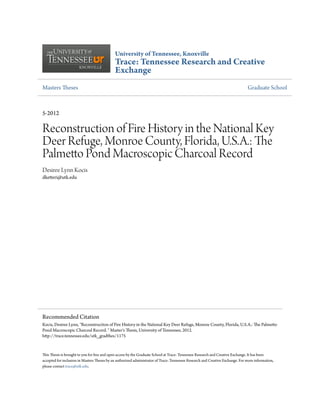 University of Tennessee, Knoxville
Trace: Tennessee Research and Creative
Exchange
Masters Theses Graduate School
5-2012
Reconstruction of Fire History in the National Key
Deer Refuge, Monroe County, Florida, U.S.A.: The
Palmetto Pond Macroscopic Charcoal Record
Desiree Lynn Kocis
dketteri@utk.edu
This Thesis is brought to you for free and open access by the Graduate School at Trace: Tennessee Research and Creative Exchange. It has been
accepted for inclusion in Masters Theses by an authorized administrator of Trace: Tennessee Research and Creative Exchange. For more information,
please contact trace@utk.edu.
Recommended Citation
Kocis, Desiree Lynn, "Reconstruction of Fire History in the National Key Deer Refuge, Monroe County, Florida, U.S.A.: The Palmetto
Pond Macroscopic Charcoal Record. " Master's Thesis, University of Tennessee, 2012.
http://trace.tennessee.edu/utk_gradthes/1175
 