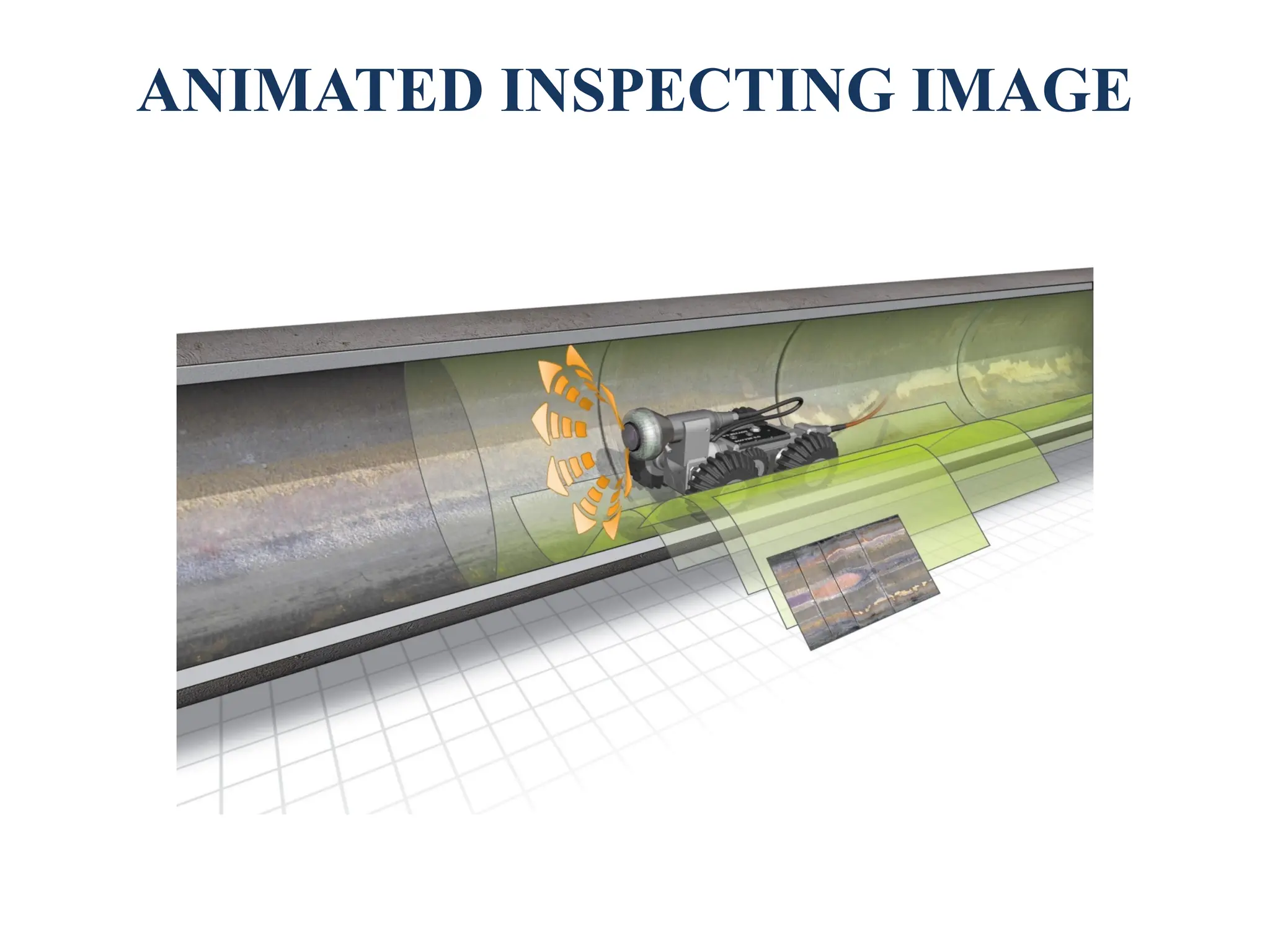 ANIMATED INSPECTING IMAGE
 