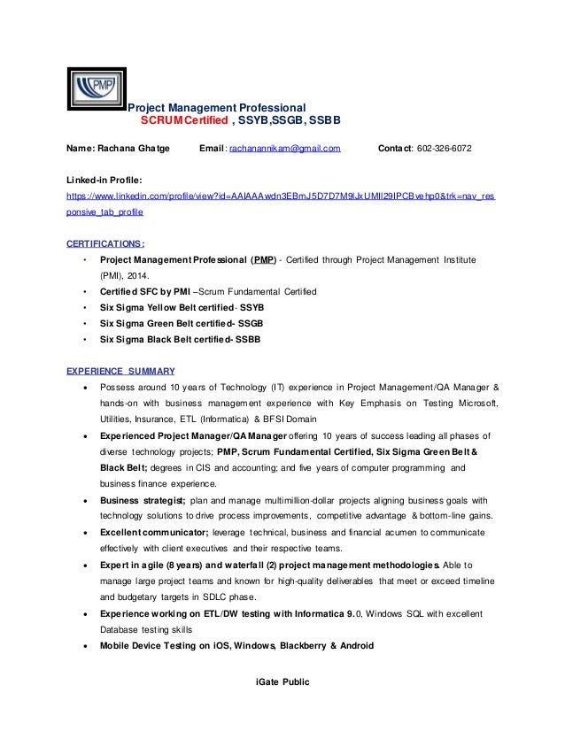 project manager resume summary