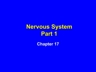 Nervous System
    Part 1
   Chapter 17
 