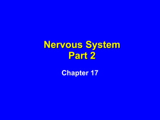 Nervous System Part 2 Chapter 17 