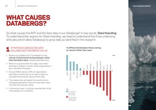 THE DATABERG REPORT SEE WHAT OTHERS DON’T | PPT