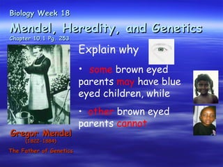 Biology Week 18

Mendel, Heredity, and Genetics
Chapter 10.1 Pg. 253

                         Explain why
                         • some brown eyed
                         parents may have blue
                         eyed children, while
                         • other brown eyed
                         parents cannot
Gregor Mendel
     (1822-1884)

The Father of Genetics
 