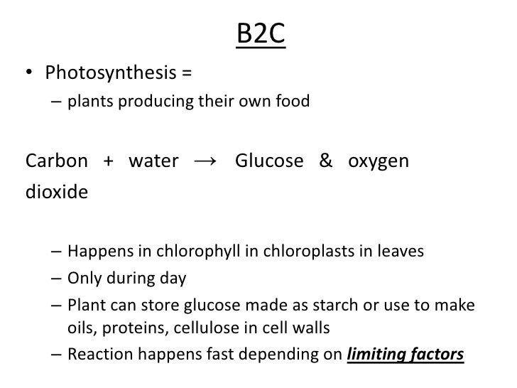 b1 and b2 revision b2 size