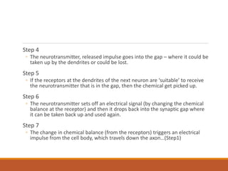 Step 4
◦ The neurotransmitter, released impulse goes into the gap – where it could be
taken up by the dendrites or could be lost.
Step 5
◦ If the receptors at the dendrites of the next neuron are ‘suitable’ to receive
the neurotransmitter that is in the gap, then the chemical get picked up.
Step 6
◦ The neurotransmitter sets off an electrical signal (by changing the chemical
balance at the receptor) and then it drops back into the synaptic gap where
it can be taken back up and used again.
Step 7
◦ The change in chemical balance (from the receptors) triggers an electrical
impulse from the cell body, which travels down the axon…(Step1)
 