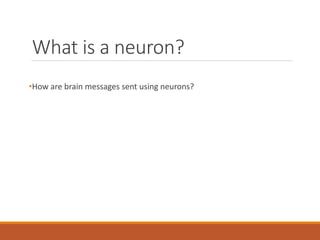 What is a neuron?
•How are brain messages sent using neurons?
 