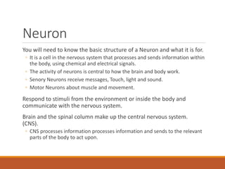 Neuron
You will need to know the basic structure of a Neuron and what it is for.
◦ It is a cell in the nervous system that processes and sends information within
the body, using chemical and electrical signals.
◦ The activity of neurons is central to how the brain and body work.
◦ Senory Neurons receive messages, Touch, light and sound.
◦ Motor Neurons about muscle and movement.
Respond to stimuli from the environment or inside the body and
communicate with the nervous system.
Brain and the spinal column make up the central nervous system.
(CNS).
◦ CNS processes information processes information and sends to the relevant
parts of the body to act upon.
 